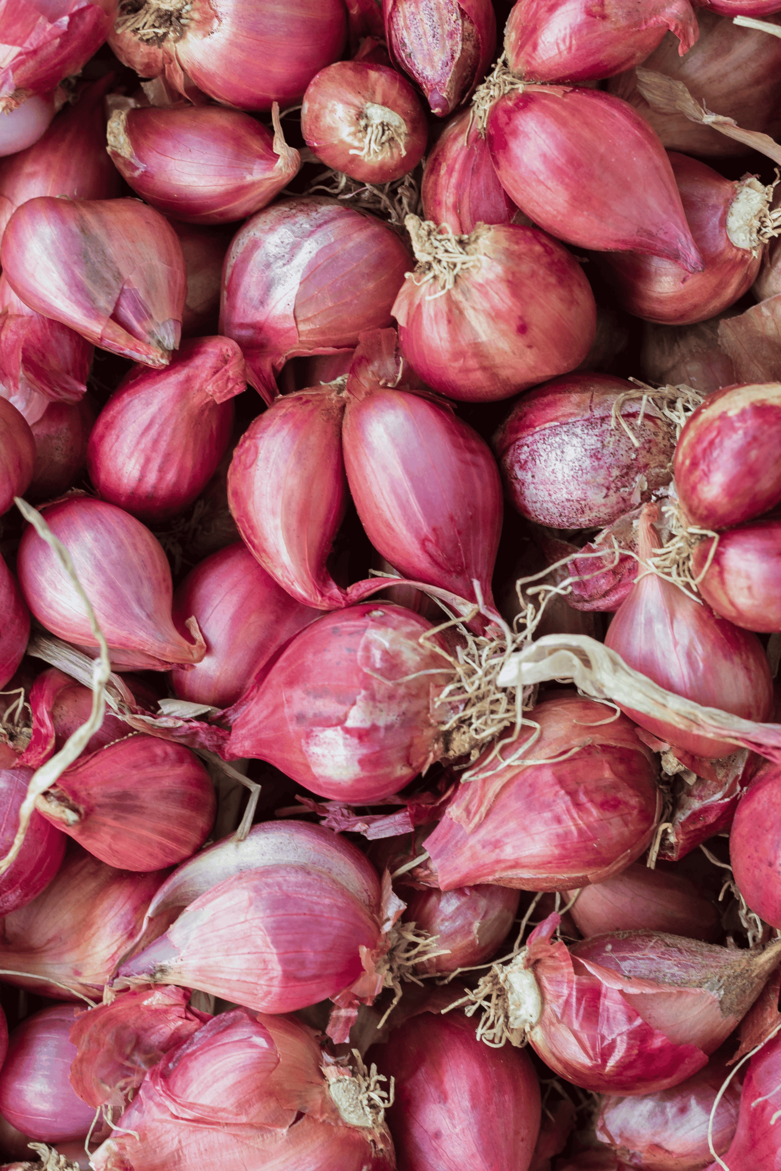 Small Onion